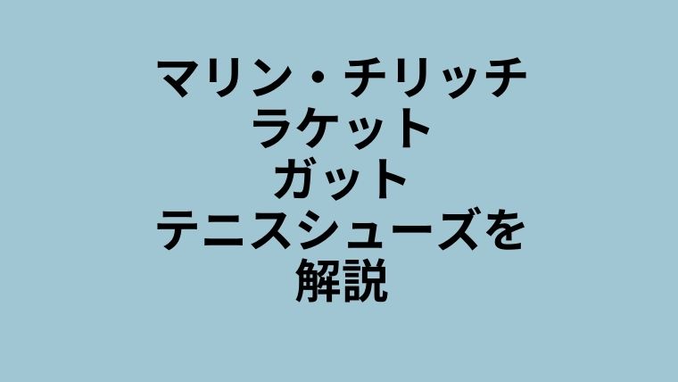 チリッチ　ラケット　ガット　シューズ